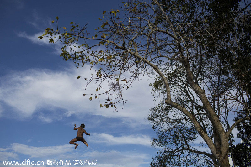 Un gar?on saute d’un arbre dans la rivière de Rio Negro à Sao Pedro, près de Manaus, au Brésil, le 18 mai 2014. Manaus est l’une des villes h?tes de la Coupe du Monde 2014 au Brésil. [Photo/IC]