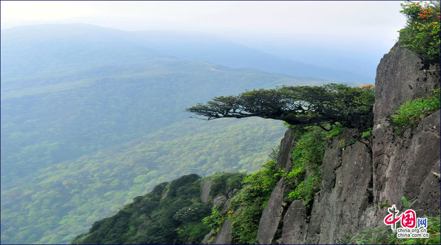 En images. Parc national de forêt Guposhan au Guangxi