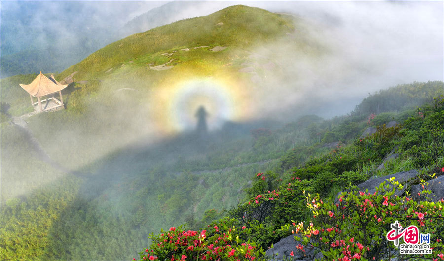 En images. Parc national de forêt Guposhan au Guangxi