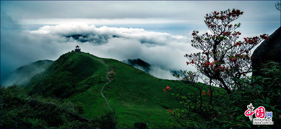 En images. Parc national de forêt Guposhan au Guangxi