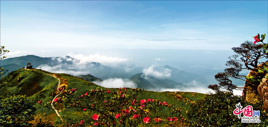 En images. Parc national de forêt Guposhan au Guangxi