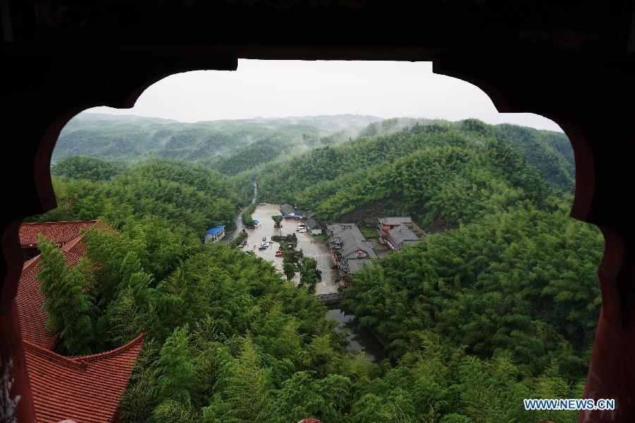 Beaux paysages de la mer de bambou à Yibin