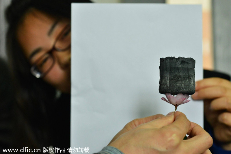 Sur ce cliché pris à l'université de Zhejiang, le 19 Mars 2013, on aper?oit Gao Chao, professeur du département de la macromolécule et sciences de l'ingénieur, tenant le ?Carbone Aerogel?, qui peut absorber 900 fois son propre poids en huile. [Photo/IC]