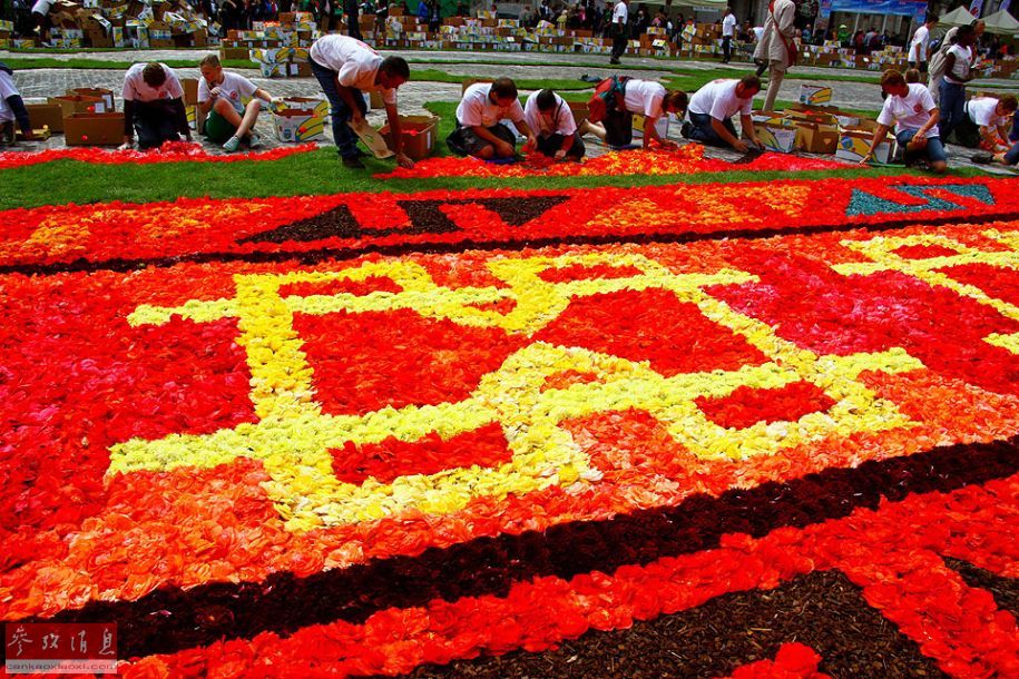 Le 19e tapis de fleurs de Bruxelles