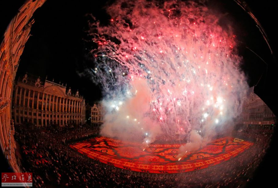 Le 19e tapis de fleurs de Bruxelles