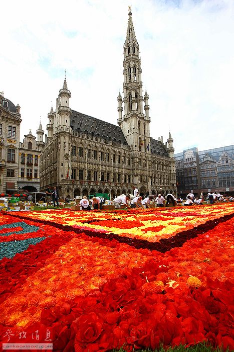Le 19e tapis de fleurs de Bruxelles