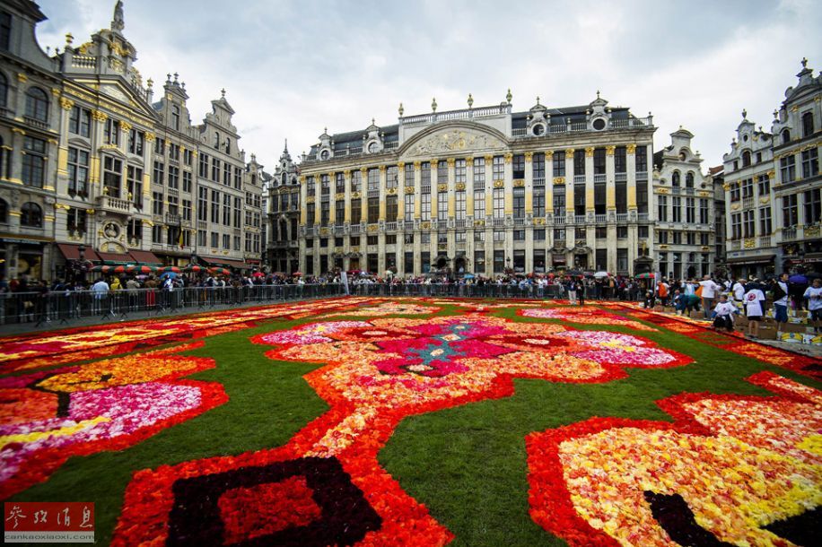 Le 19e tapis de fleurs de Bruxelles