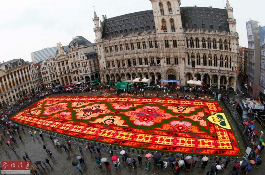 Le 19e tapis de fleurs de Bruxelles