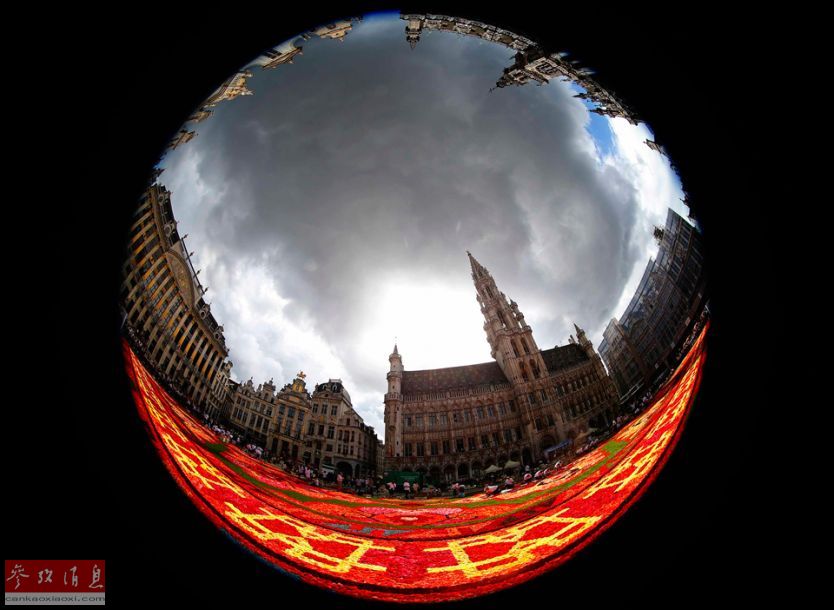 Le 19e tapis de fleurs de Bruxelles