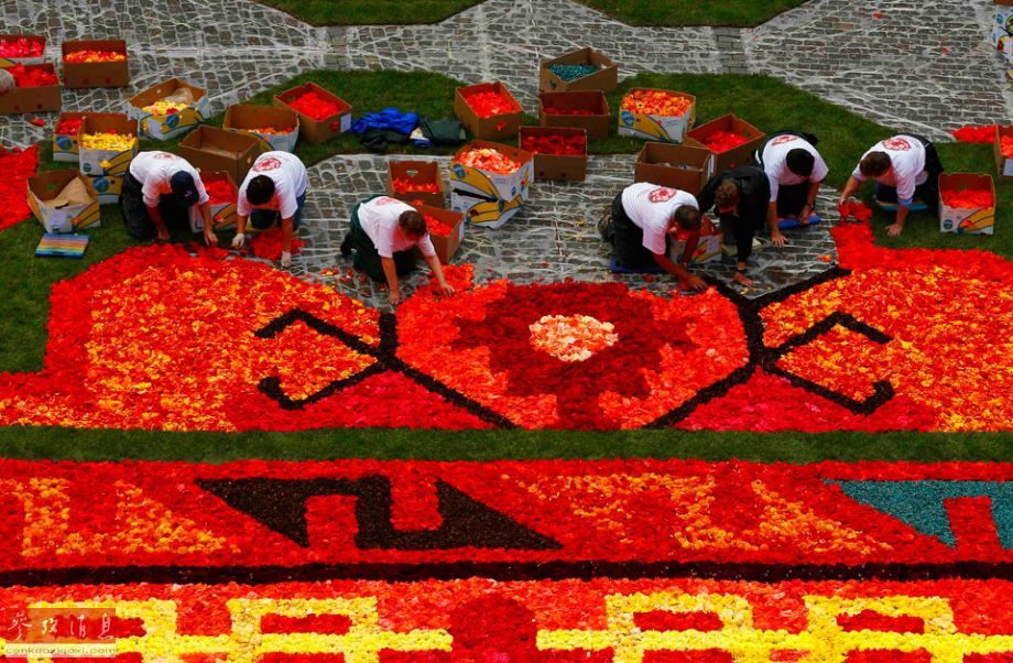 Le 19e tapis de fleurs de Bruxelles