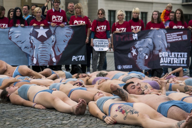 Allemagne: des cirques sans animaux sauvages