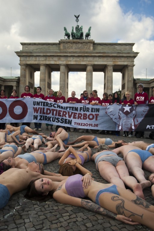 Allemagne: des cirques sans animaux sauvages