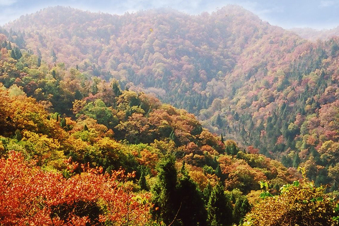 Yijun : les loisirs et le tourisme deviennent un point fort du développement économique du comté