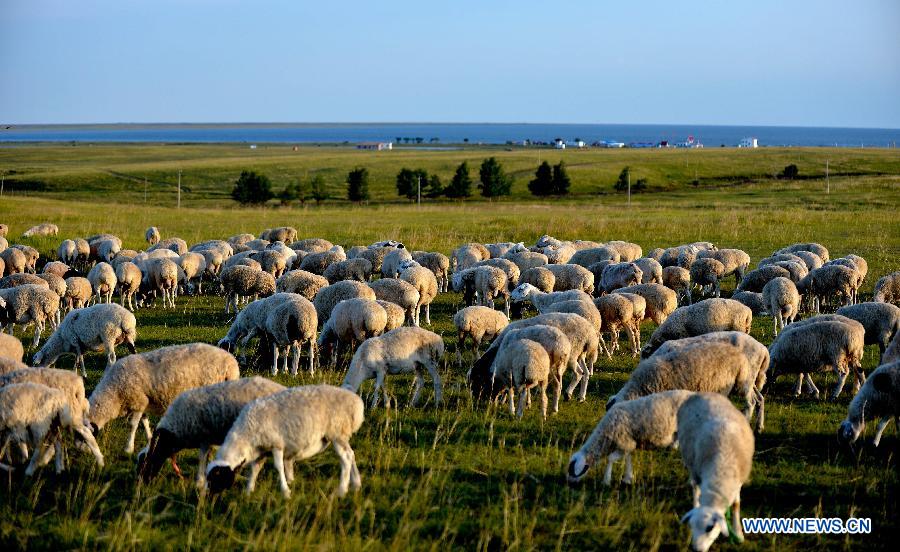 Chine: beaux paysages de la prairie de Hulunbuir