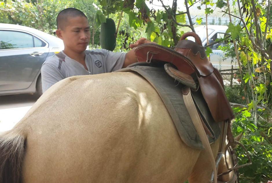 Une vie à Cheval dans le Shandong