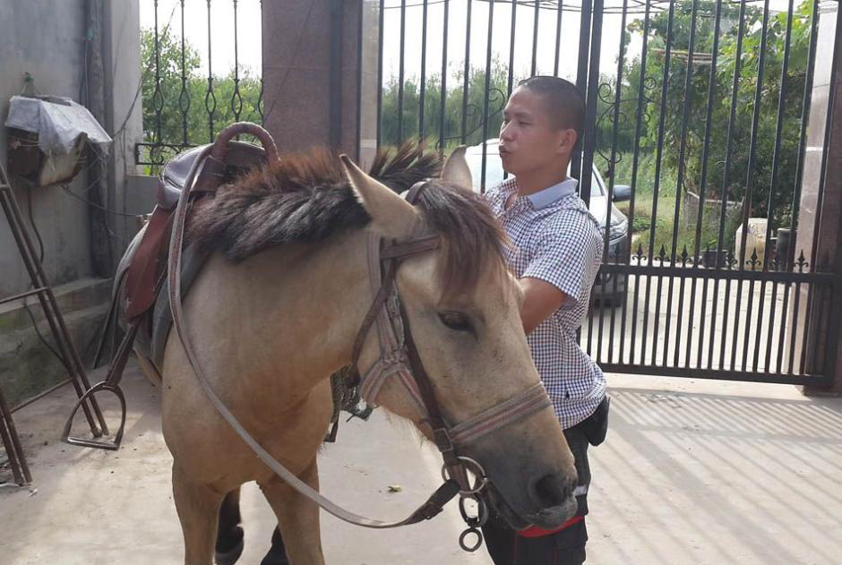 Une vie à Cheval dans le Shandong