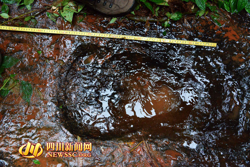 Le Sichuan et ses dinosaures