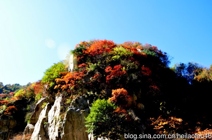 Les splendeurs automnales du Mont Cuihua vues par les yeux des internautes