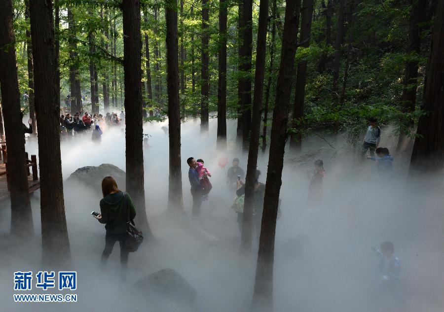 ? Une forêt de brume ? à Beijing