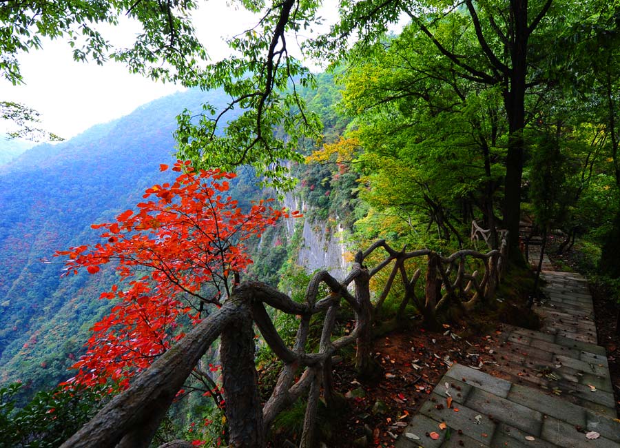 Bienvenue au Canyon de Jinsi à Qinling !