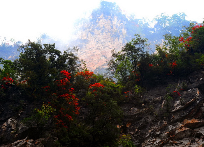 Bienvenue au Canyon de Jinsi à Qinling !