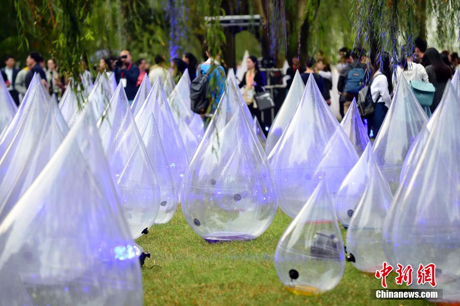 Des gouttes d'eau sur le Lac de l'Ouest