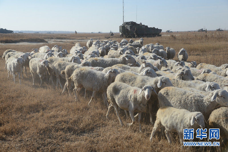 Des photos du plus grand exercice militaire conjoint de l’APL