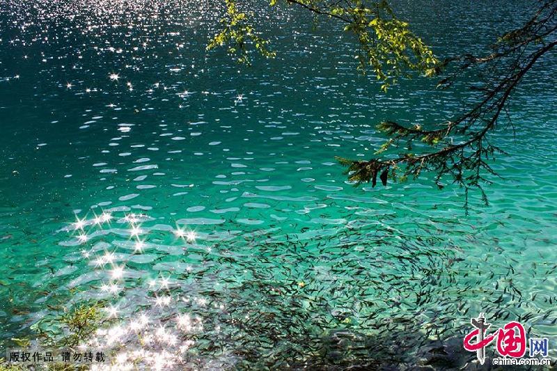 Sichuan : le monde fascinant de Jiuzhaigou 