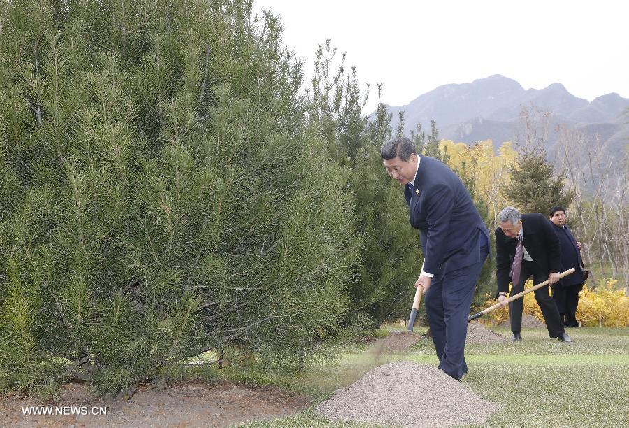 Les dirigeants de l'APEC plantent des arbres d'amitié