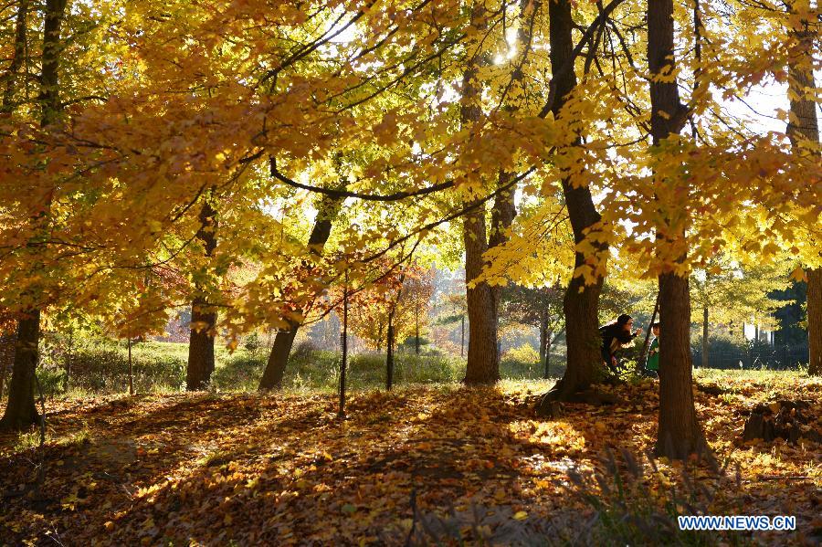 Parc zoologique national de Washington