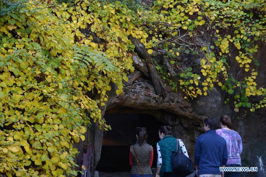 Parc zoologique national de Washington