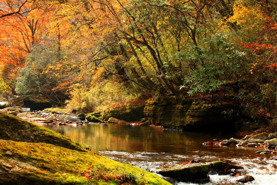 La splendeur des couleurs de l'automne à Liping