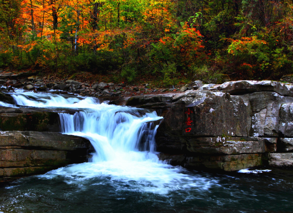 La splendeur des couleurs de l'automne à Liping