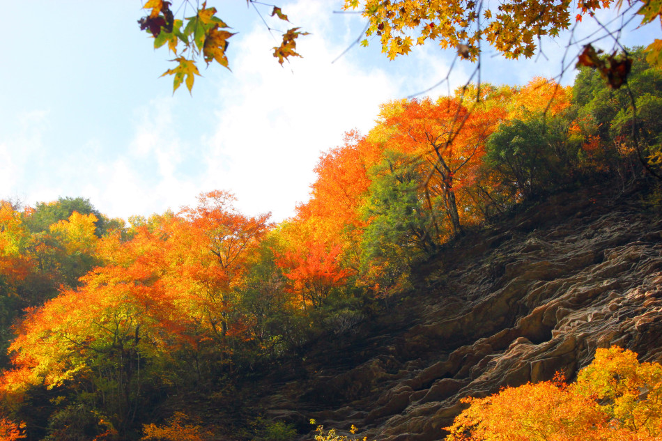 La splendeur des couleurs de l'automne à Liping