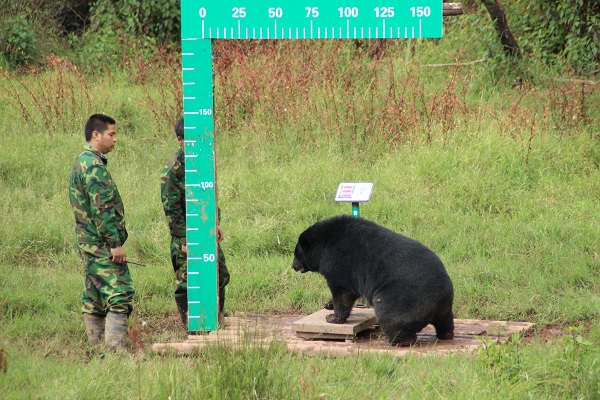 Les animaux sauvages et les examens physiques