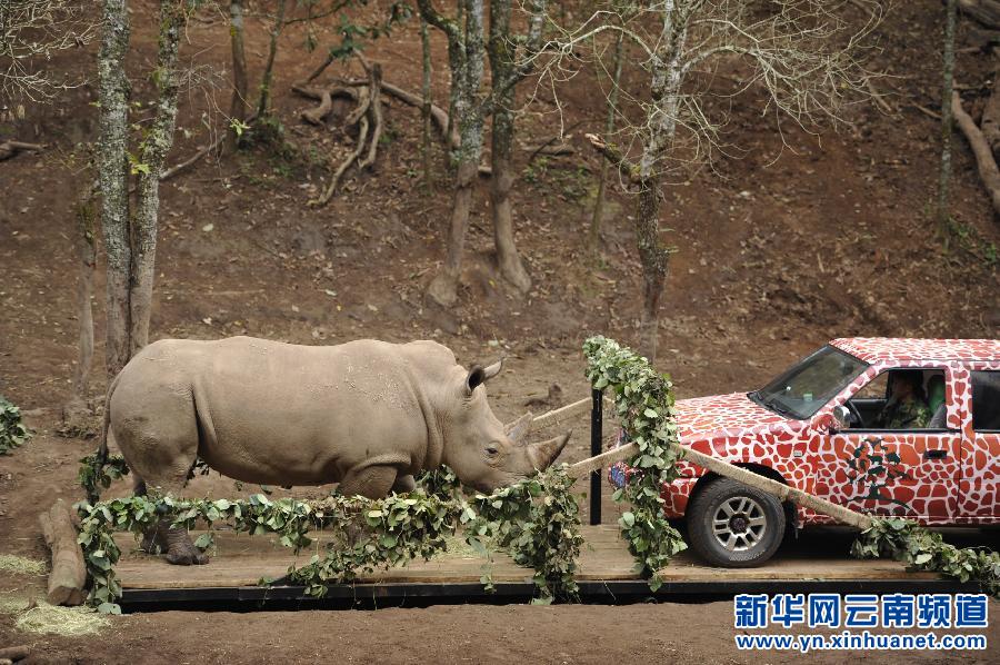 Les animaux sauvages et les examens physiques