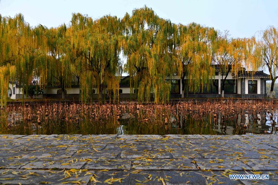 Chine: paysage au bord du lac Daming à Ji'nan
