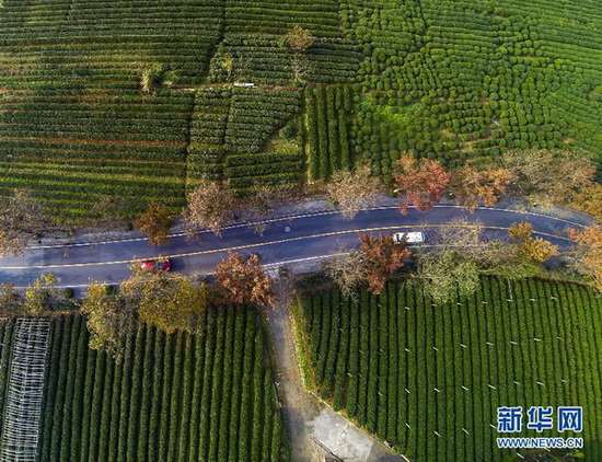 Une saison multicolore au Lac de l’Ouest