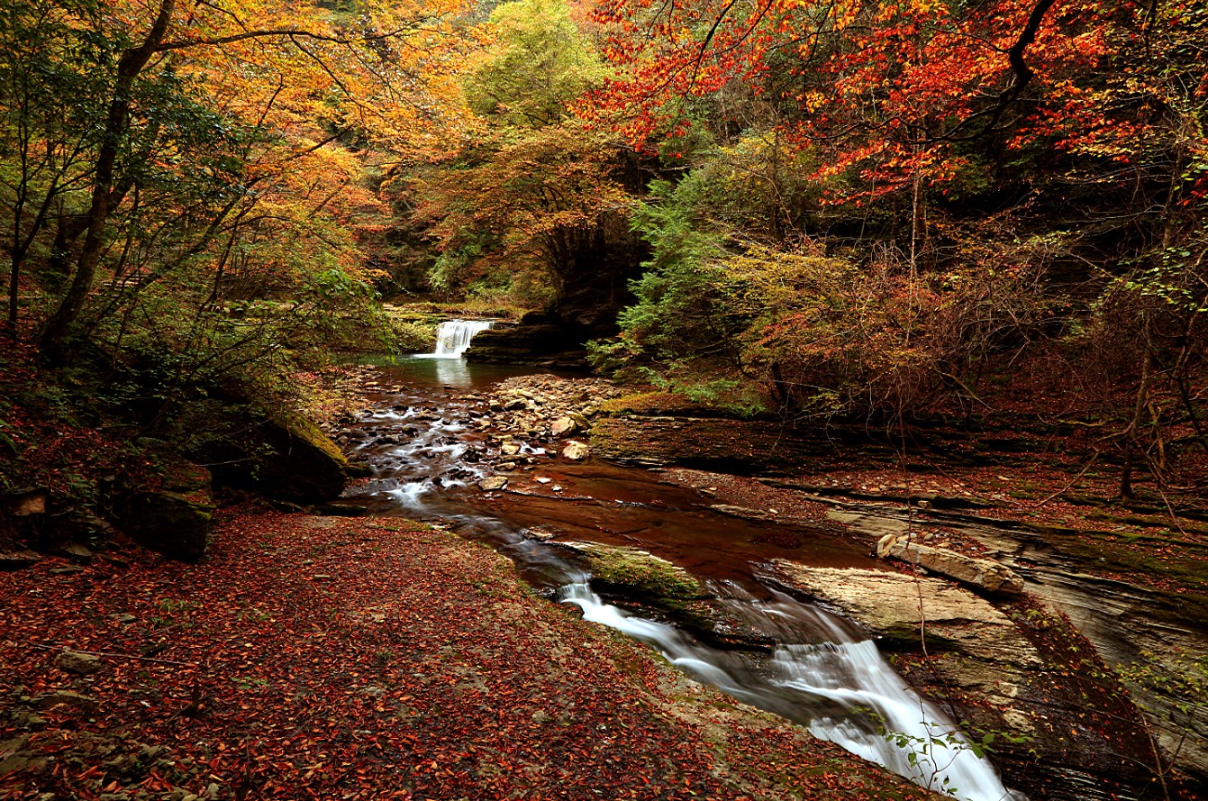 Quatre nouveaux sites de Hanzhong inscrits sur la liste des sites touristiques nationaux de niveau 4A