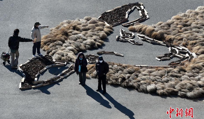 Comptons les moutons en 2015