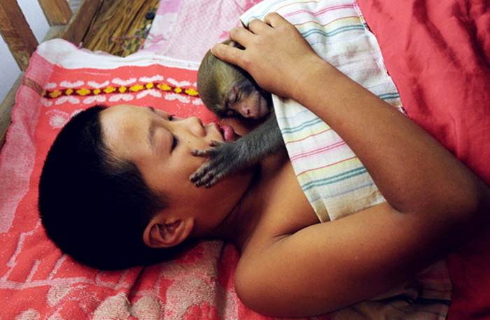 La vie des entra?neurs de singes 