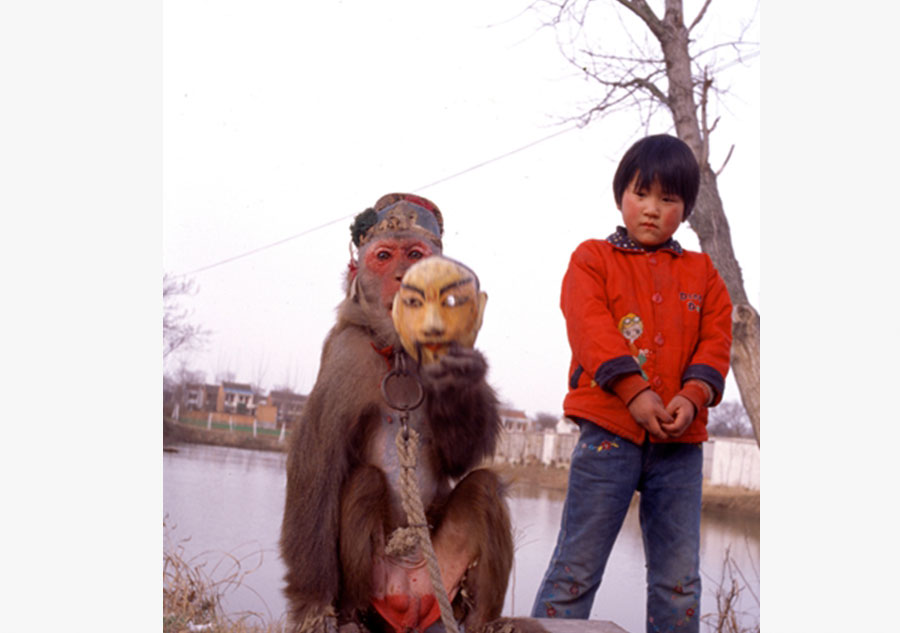 La vie des entra?neurs de singes 