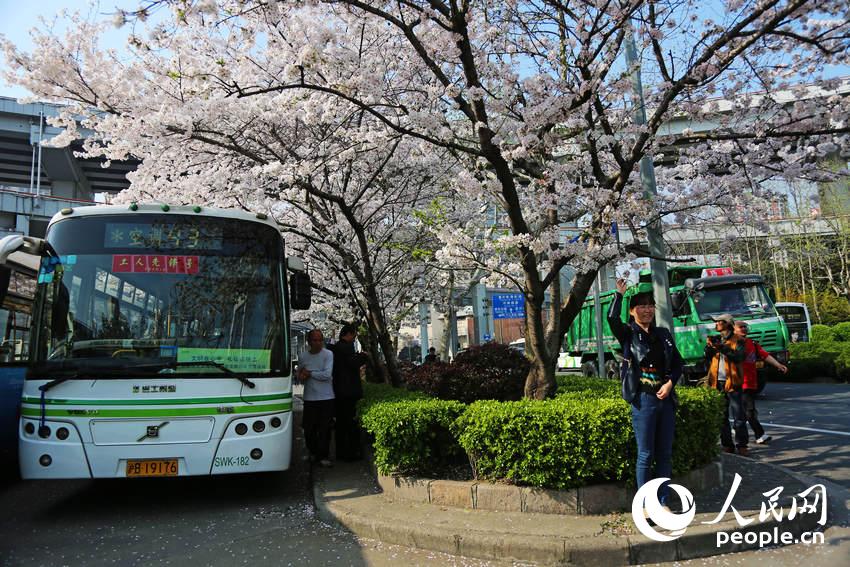 Shanghai : la plus belle station de bus en fleurs