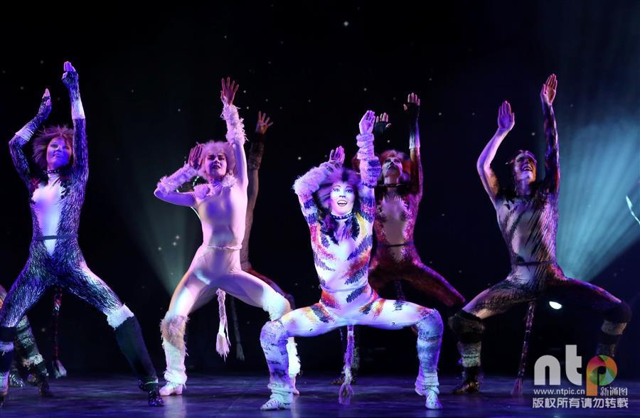 La comédie musicale "Cats" à Paris