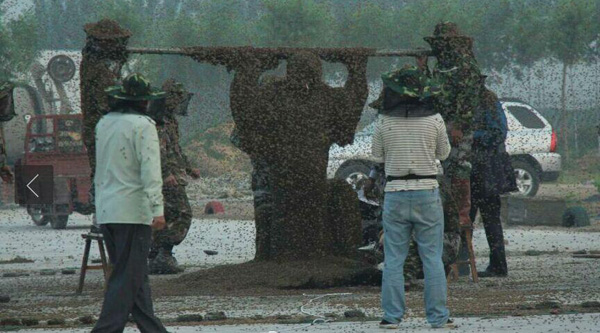 Un manteau d'abeilles de 109,05 kg