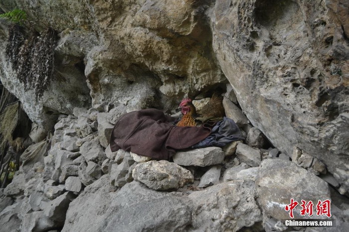 Ils vivent dans une grotte depuis près de 50 ans