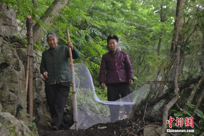 Ils vivent dans une grotte depuis près de 50 ans