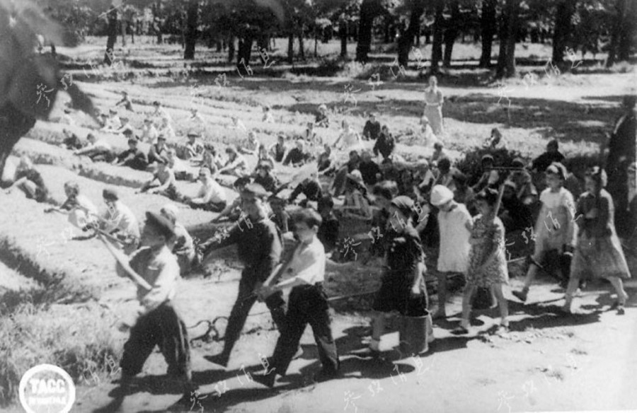 Des enfants partent au travail, le 10 juin 1943 à Leningrad.
