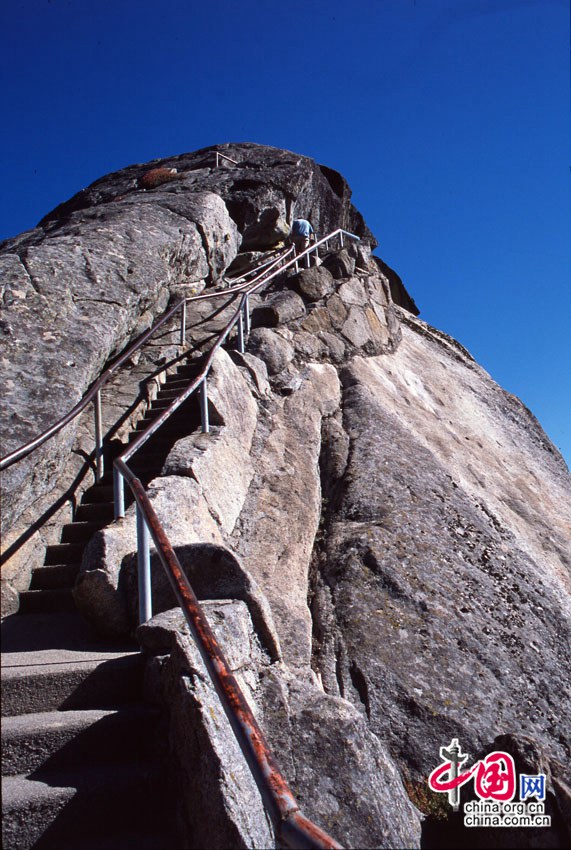 Le parc national des Séquoias aux Etats-Unis