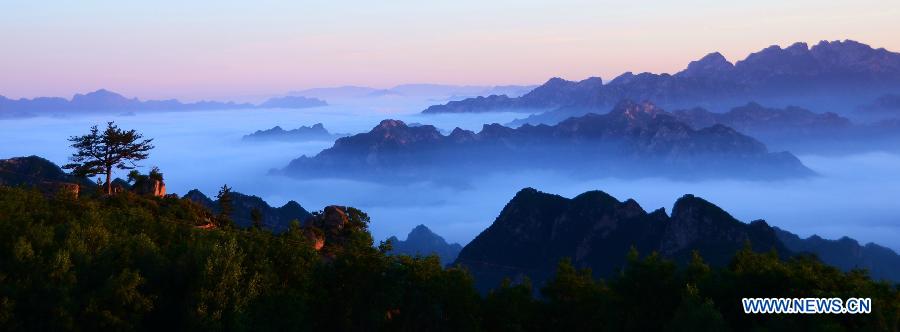 Photos - la mer de nuages au-dessus d'un réservoir